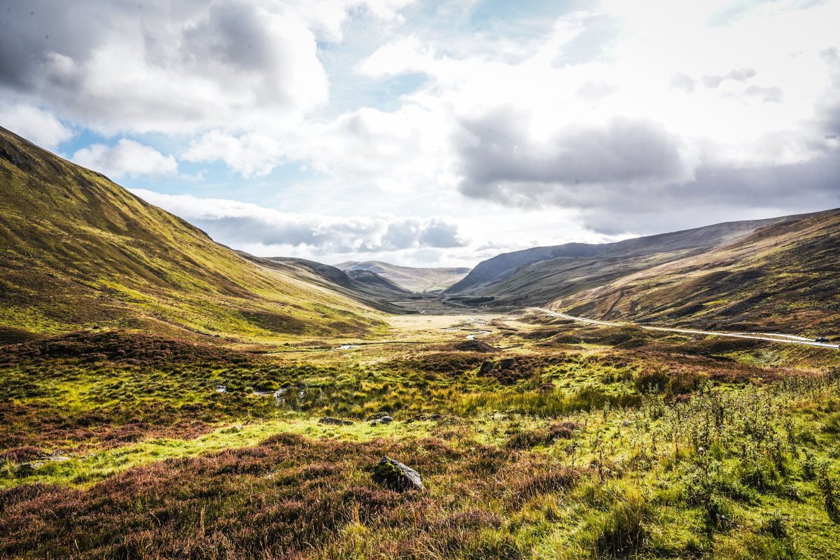 7682_20220916_155551_247951998_original