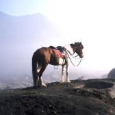 Bromo Caldera5