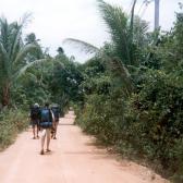 Trekking to Star Huts