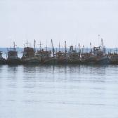 Surat Thani2