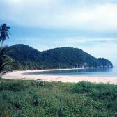 Surat Thani