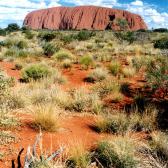 Approaching Uluru2