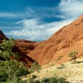 Olgas