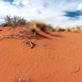 Red Dunes