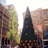 Xmas in Sydney