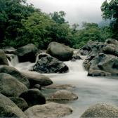 Mossman Gorge