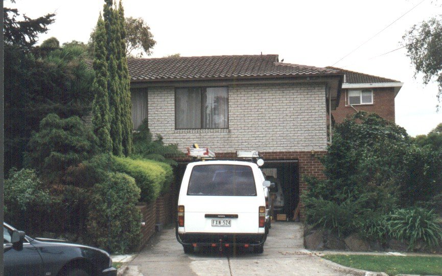 Pin Oak Ct1