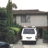 Pin Oak Ct1