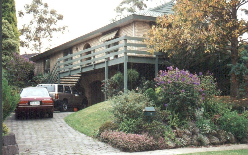 Pin Oak Ct2