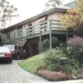 Pin Oak Ct2