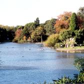 The lake