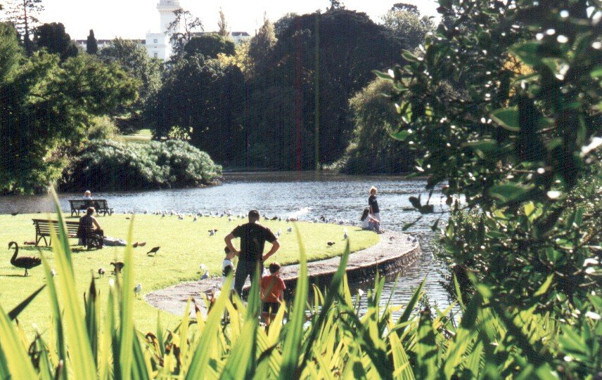Tranquil gardens