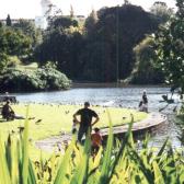 Tranquil gardens