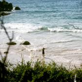 Fairy Cove