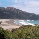 Norman Beach