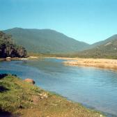 Tidal River