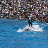 seaworld_001