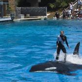 seaworld_002