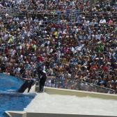 seaworld_003