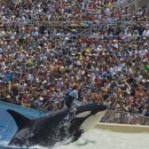 seaworld_004