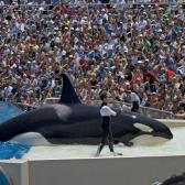 seaworld_005