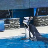 seaworld_006