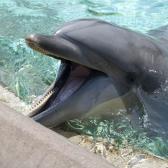 seaworld_008
