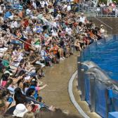 seaworld_009