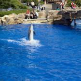 seaworld_011