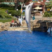 seaworld_012