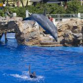 seaworld_013