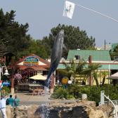 seaworld_014