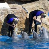 seaworld_015