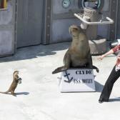 seaworld_017