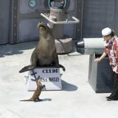 seaworld_018