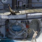 seaworld_020
