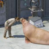 seaworld_022