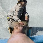 seaworld_023