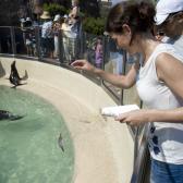 seaworld_024
