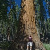 yosemite_003