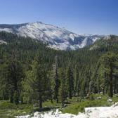 yosemite_022