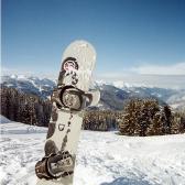 ed-s-board