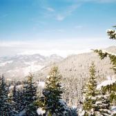 mountain-view