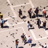 St Mark's square