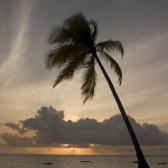 Dawn near Jambiani