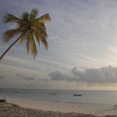 Zanzibar rush hour
