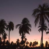 Sunset at Jambiani