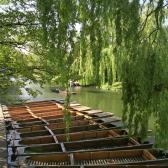 Punts on the river